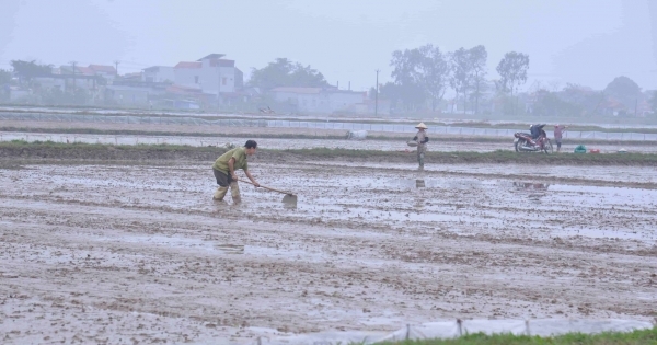 mot xa o nam dinh hop phap hoa dat lan chiem thanh dat o