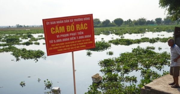 Tây Ninh phạt hai doanh nghiệp xả thải ra sông 1,6 tỉ đồng