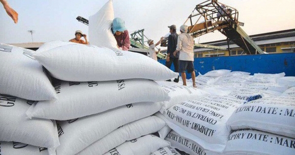 Cổ phiếu doanh nghiệp ngành gạo vọt tăng sau lệnh cấm xuất khẩu gạo của Ấn Độ