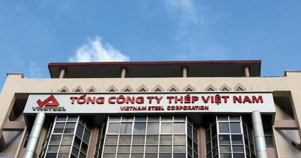 tong-cong-ty-thep-viet-nam-1655522497
