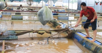 Cảnh báo sạt lở, lũ quét vùng hạ lưu sông Đồng Nai