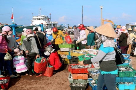 Gh&eacute; thăm những chợ hải sản nổi tiếng gi&aacute; rẻ ở Việt Nam