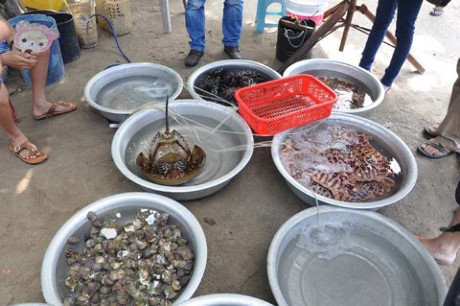 Chợ hải sản ăn liền&nbsp;tại C&ugrave; Lao Ch&agrave;m, Quảng Nam với rất nhiều loại hải sản tươi sống được b&aacute;n với gi&aacute; rất rẻ.