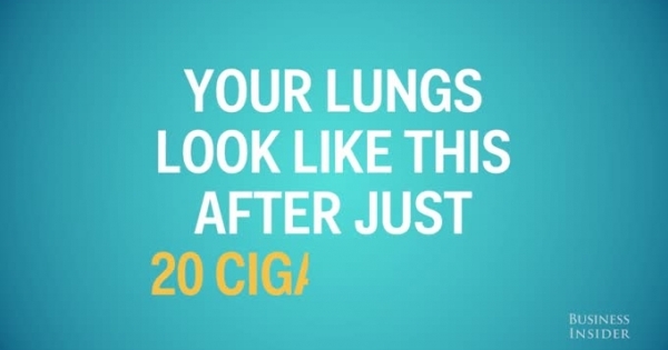 Lá phổi đen kịt sau khi hút 20 điếu thuốc lá