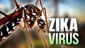 Bộ Y tế xác nhận ca vi rút Zika đầu tiên ở Phú Yên