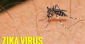 Bộ Y tế thông tin về chủng virus Zika tại Việt Nam