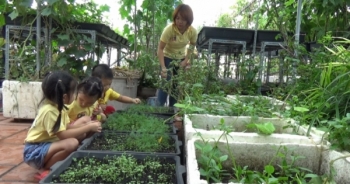 Đồng hành cùng thực phẩm sạch: Mô hình trồng rau sạch tại nhà