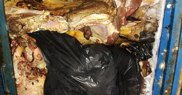 Bình Dương:  Phát hiện cơ sở "hô biến” thịt bò thối thành thịt bò tươi bằng hóa chất
