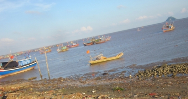 Thanh Hóa: 100% tàu thuyền đã tìm được nơi trú ẩn an toàn