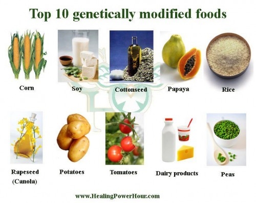 Top 10 thực phẩm biến đối gen.