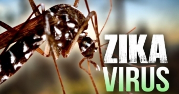 Báo động: Virus Zika tiếp tục tấn công Singapore