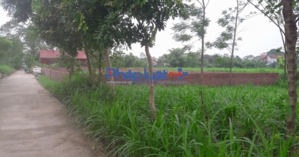 Vĩnh Phúc: “Quan xã” lộng quyền, gần 160.000 m2 đất nông nghiệp bị bán trái thẩm quyền