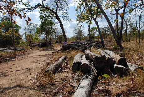 Đăk Lắk: Phá nát rừng Ea Súp