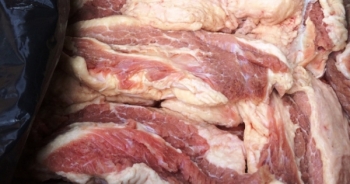 Hơn 3 tạ thịt bò bốc mùi mang ra Hà Nội tiêu thụ