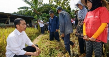 Indonesia: Tổng thống Widodo giải “bài toán” kinh tế