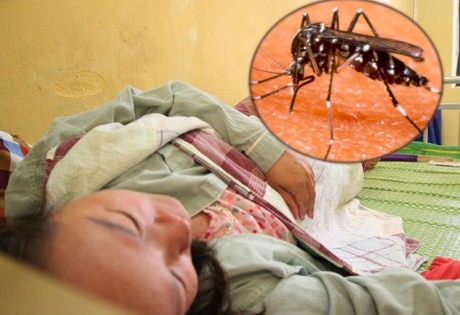 Việt Nam đơn độc chống sốt xuất huyết