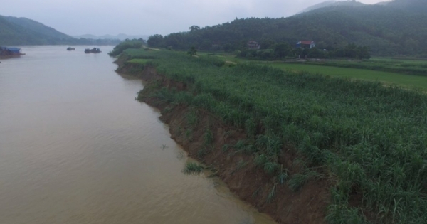 Tuyên Quang: Hàng loạt tàu khai thác, vận chuyển cát trái phép bị bắt giữ trên sông Lô