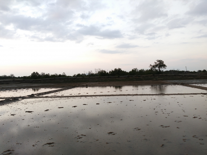Ruộng muối của người d&acirc;n đang canh t&aacute;c từ xưa đến khi bị thu hồi lại được ch&iacute;nh quyền địa phương cho l&agrave; rừng ph&ograve;ng hộ.