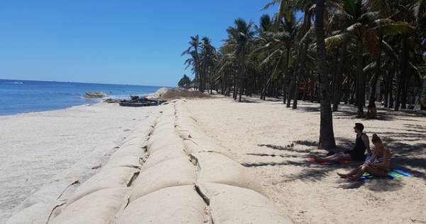 Bờ biển Cửa Đại “hồi sinh” vì... cát đang trở lại
