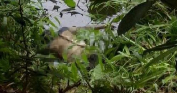 Lào Cai: Bàng hoàng phát hiện thi thể người đàn ông dưới ao làng