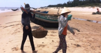 Quảng Trị: Ngư dân vùng biển bãi ngang phấn khởi vì bội thu ruốc biển