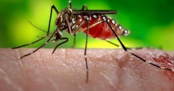 Thanh Hóa: Phát hiện ổ dịch sốt xuất huyết đầu tiên tại Tĩnh Gia