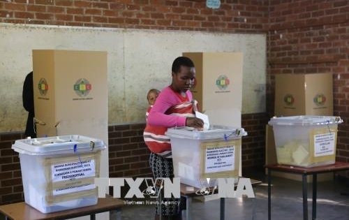 Công bố kết quả chính thức cuộc bầu cử Zimbabwe