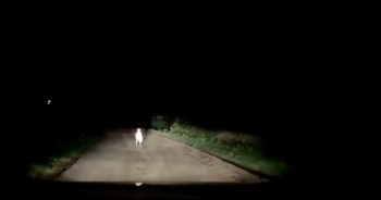 [Clip]: Hoảng hồn thấy em bé đứng giữa đường trong đêm