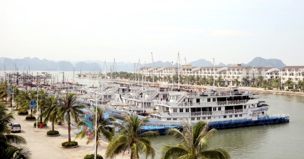 Quảng Ninh: Đình chỉ hoạt động hàng loạt tàu du lịch trên Vịnh Hạ Long