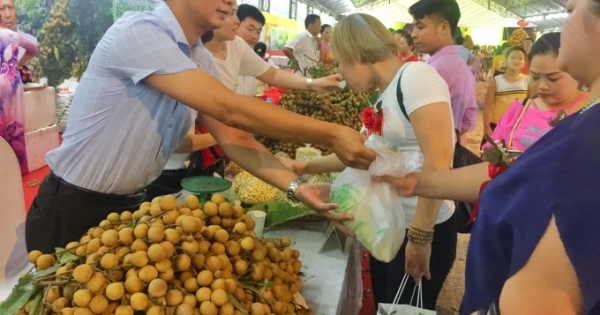 Phó Thủ tướng Vương Đình Huệ dự Hội nghị xúc tiến thương mại nhãn và nông sản Hưng Yên