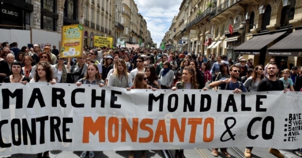 Dư luận quốc tế ủng hộ phán quyết của tòa án Mỹ với Monsanto