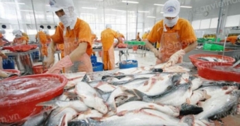 Phát triển thị trường cá tra: Tận dụng xu thế 