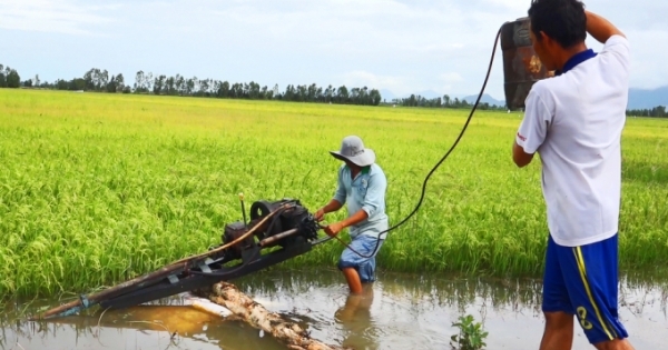 Kiên Giang: Hàng ngàn ha lúa hè thu ở Hòn Đất bị lũ đe dọa ngập