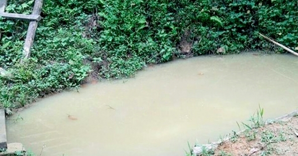 Thanh Hóa: Tìm thấy thi thể 3 cháu nhỏ đuối nước cùng ngày