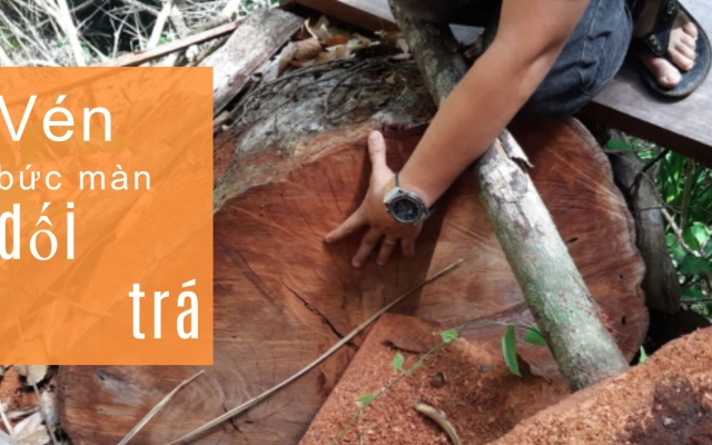 Phá rừng lấy đất ở Ea Kar: Vén bức màn dối trá