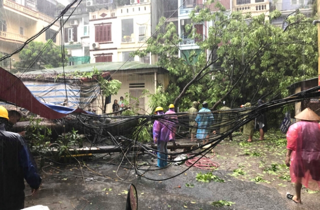Nhiều cây lớn, cột điện đổ tại Hà Nội do ảnh hưởng bão số 3