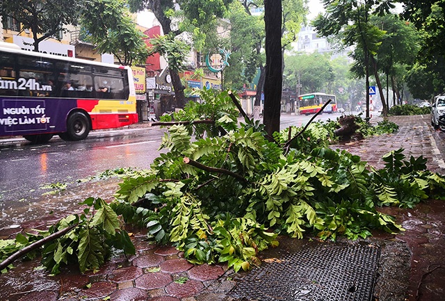 Hà Nội mưa liên tục sau bão, cây xanh gãy đổ ở nhiều nơi - 9
