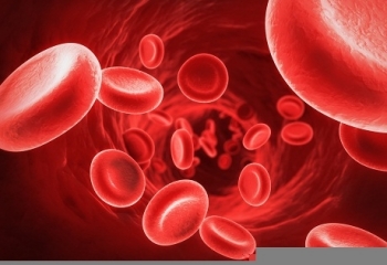 8 đặc điểm riêng biệt của người nhóm máu O