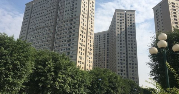 Sự thật rắn độc "bủa vây" toà chung cư mới ở Hà Nội