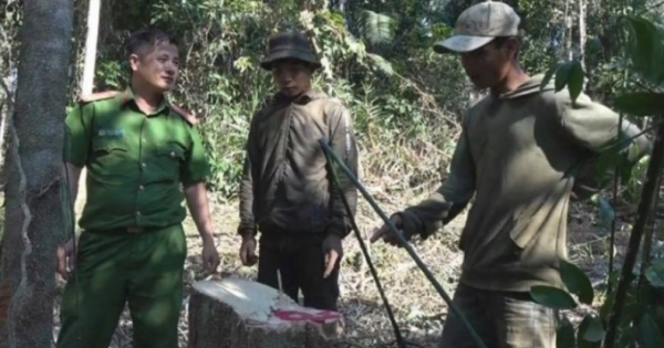 Đắk Lắk: Bắt quả tang nhóm "lâm tặc" ngang nhiên vào rừng chặt hạ gỗ trái phép