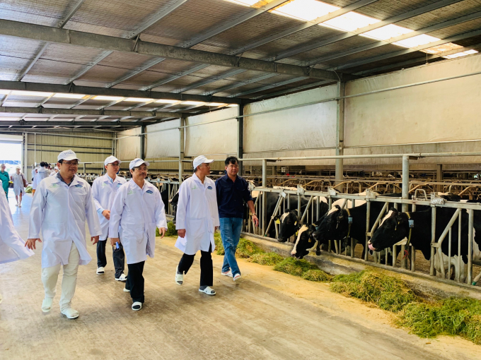 Ông Phùng Đức Tiến - Thứ trưởng Bộ NN &amp;amp; PTNT, ông Phạm Văn Đông – Cục trưởng Cục Thú y và đoàn công tác tham quan “Resort” bò sữa đạt chuẩn Global G.A.P của Vinamilk tại Tây Ninh.