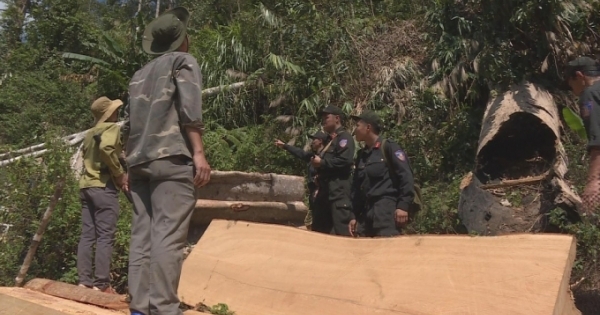 Công an tỉnh Đắk Lắk đột kích tóm gọn nhiều đối tượng "lâm tặc" đang tàn sát rừng