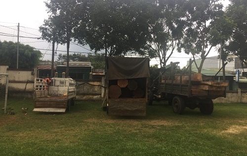 Gia Lai: Bắt giữ nhiều xe vận chuyển gỗ lậu, lâm tặc “bỏ xe” tẩu thoát