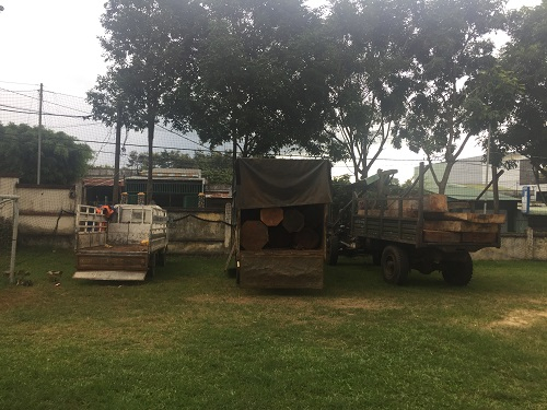 Gia Lai: Bắt giữ nhiều xe vận chuyển gỗ lậu, lâm tặc “bỏ xe” tẩu thoát
