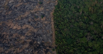 Ám ảnh “nghĩa địa" chết chóc do thảm họa cháy rừng Amazon gây ra