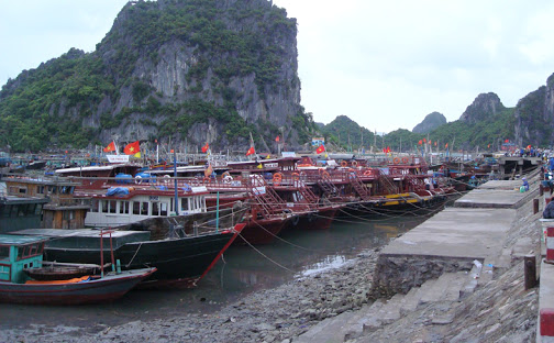 Quảng Ninh: Dừng cấp phép tàu tham quan, lưu trú ra các tuyến đảo do ảnh hưởng của bão số 2
