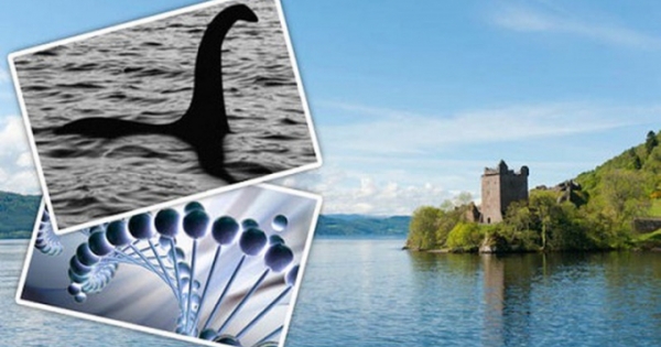 Bí ẩn ngàn năm về quái vật hồ Loch Ness - Kỳ 2: Bất ngờ thủy quái khổng lồ xuất hiện trên cạn