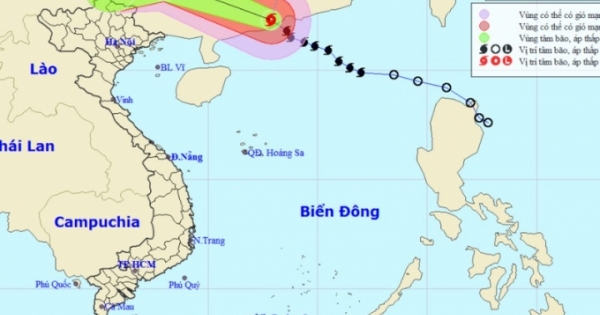 Bão đổ bộ đất liền Trung Quốc, Việt Bắc - Tây Bắc... mưa to
