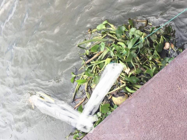 Bình Dương: Phát hiện thi thể người phụ nữ trên sông Sài Gòn