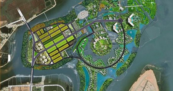 Bình Định: Chuyển 12,71 ha đất rừng làm đất vật liệu san lấp dự án Diêm Vân